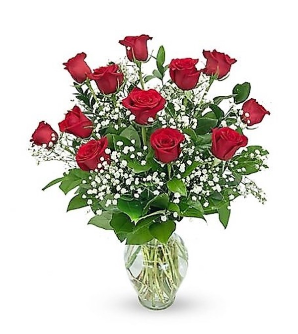 Roses (Red)- Casey