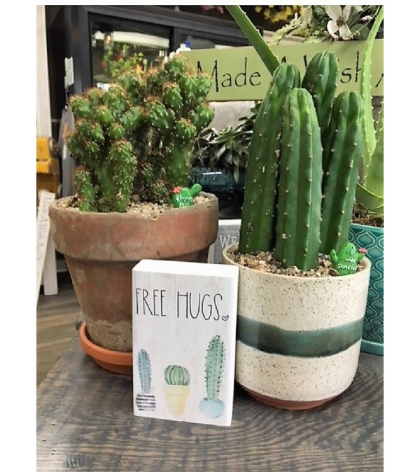 Cactus