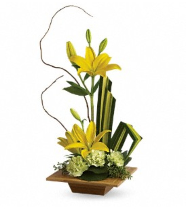 Bamboo Artistry