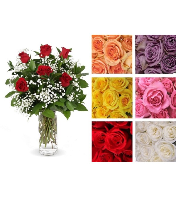 6 Roses(Red)-Casey