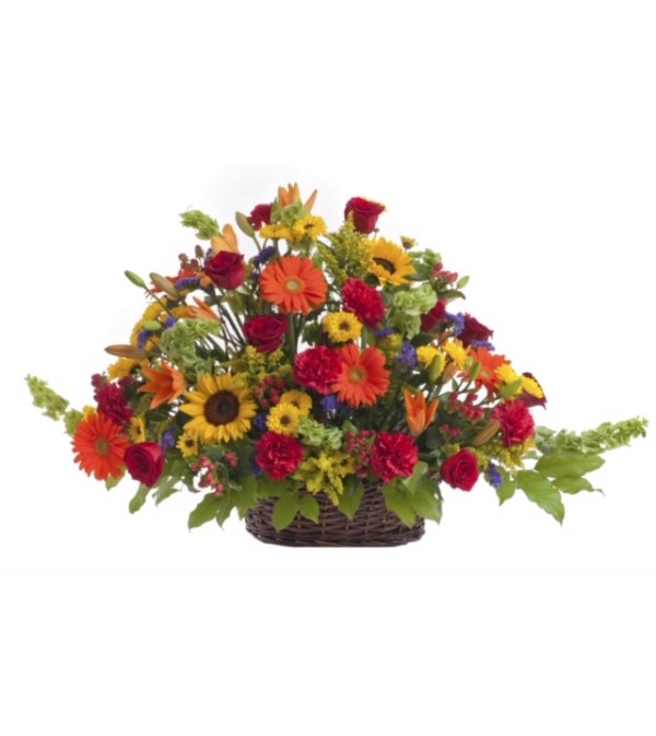 Colorful Reflection-Basket
