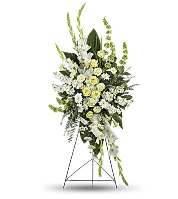 A Magnificent Life Spray