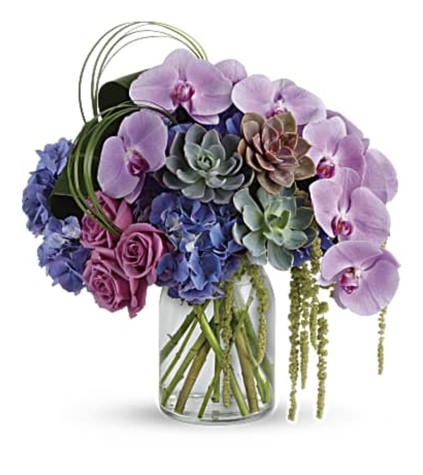 Sheer Elegance Brickell Fl Florist - free same day delivery ends in