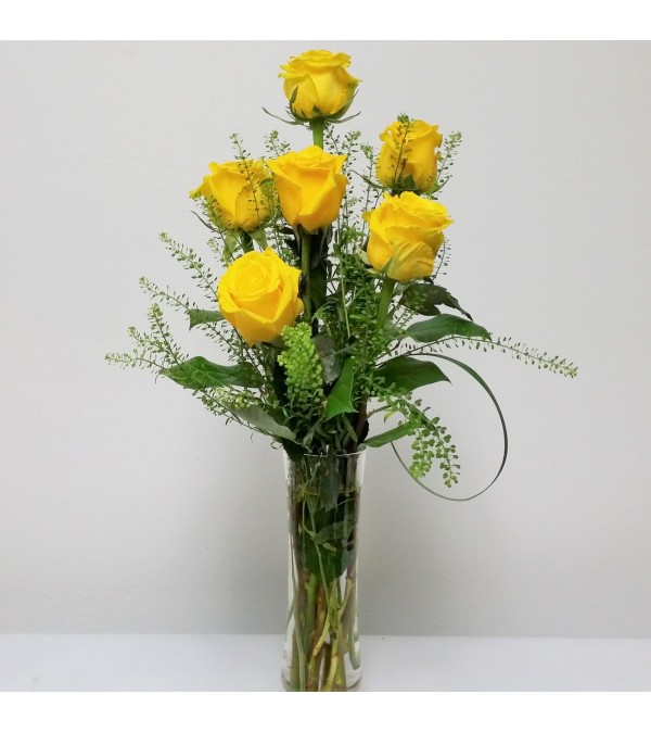Yellow Half Dozen