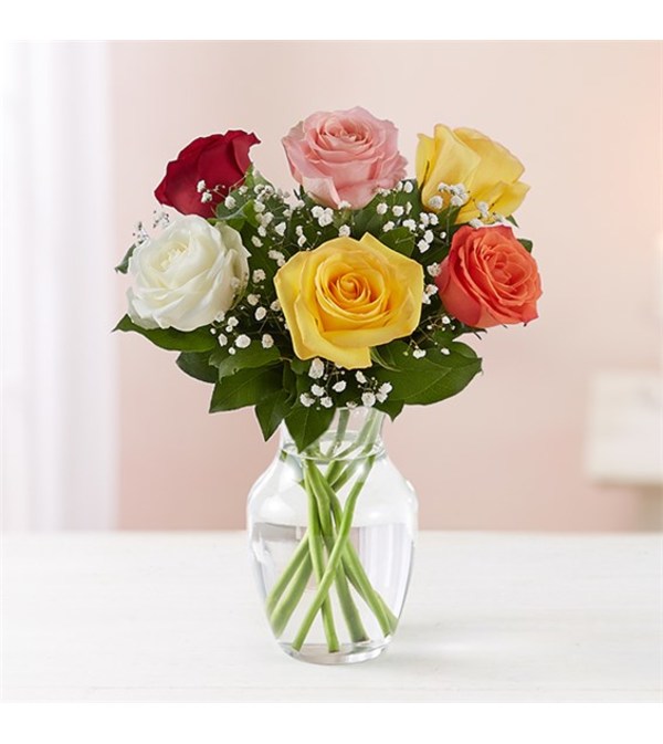 6 Rainbow Roses w/vase
