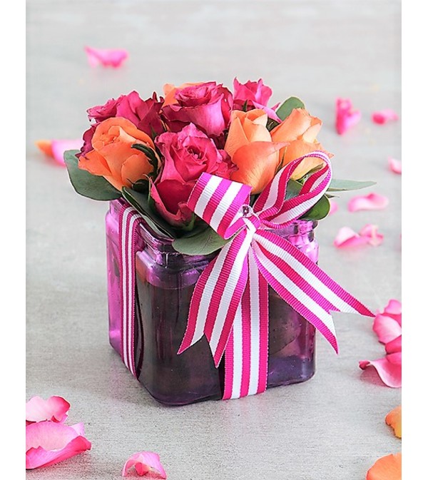Roses-Judy