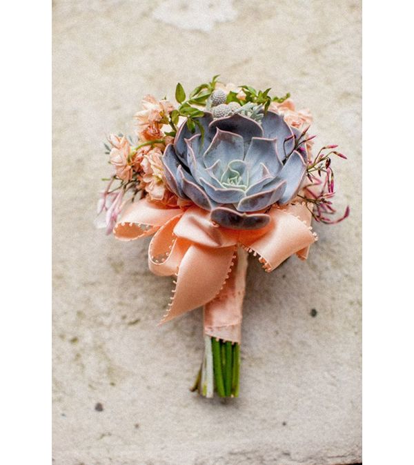 Succulent w/ filler Boutonniere