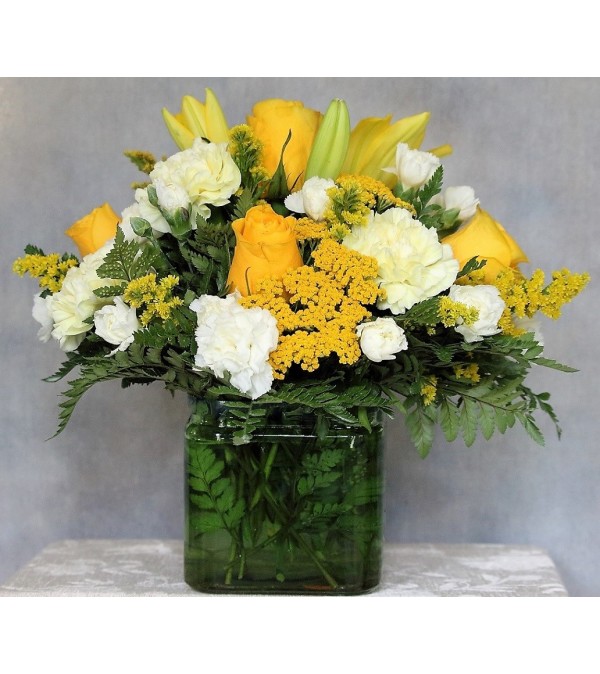 Talisman's Yellow Sunshine