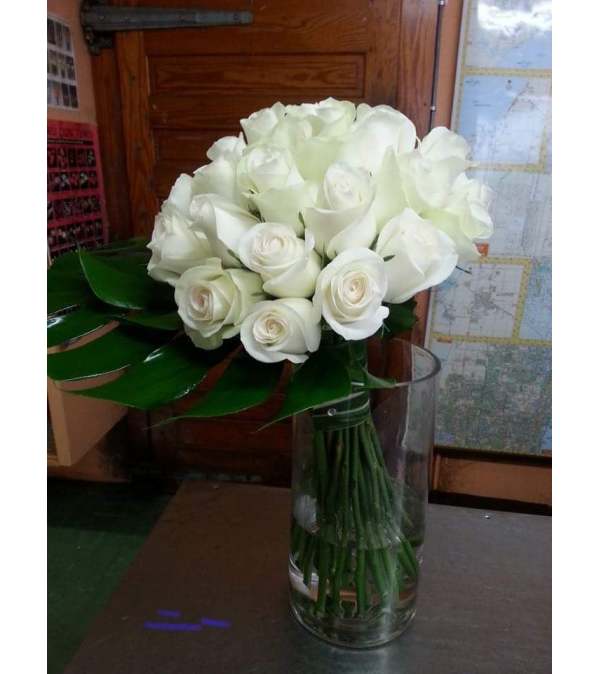 ELEGANT WHITE ROSES