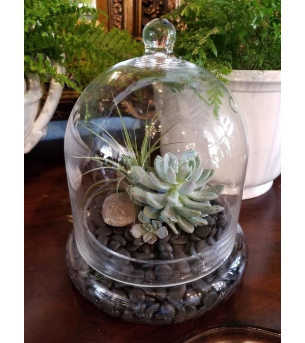 SMALL CLOCHE