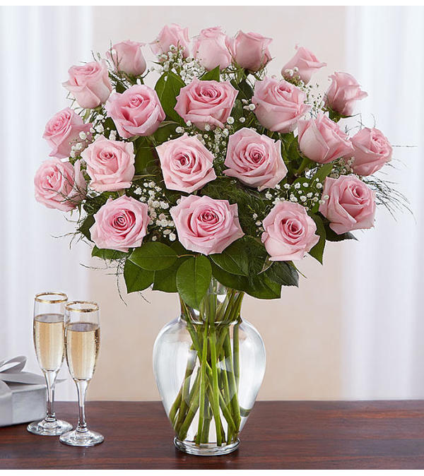 Classic Two Dozen Pink Rose's
