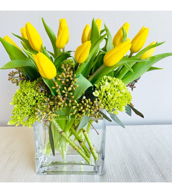 Hello Tulips