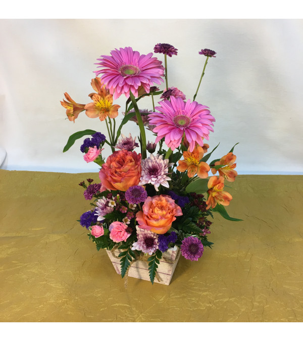 sp5 window box
