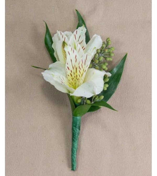 alstromeria