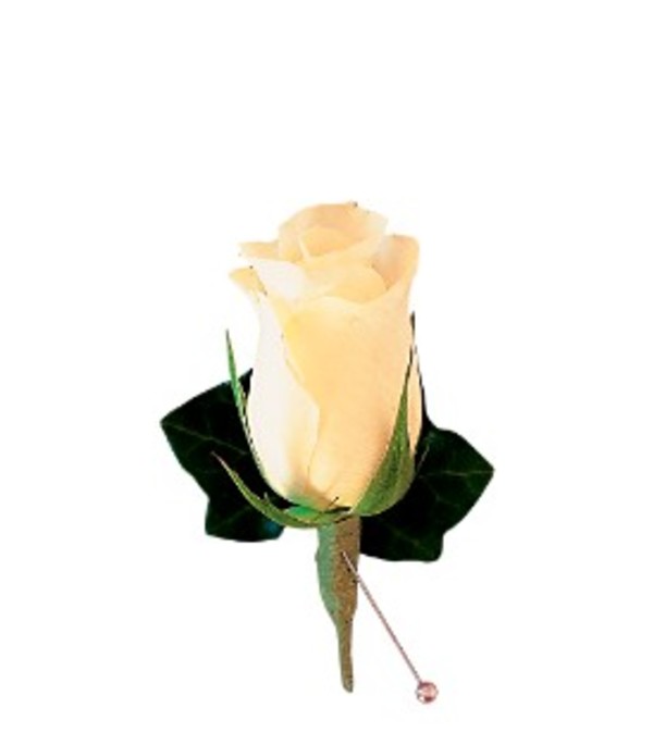 Rose and Ivy Boutonniere