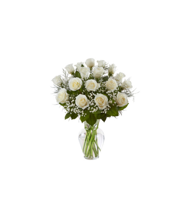 1 Dozen Deluxe White