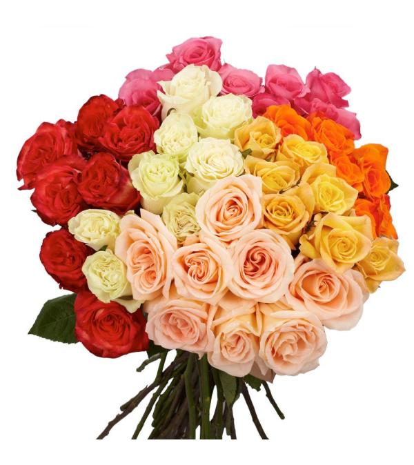 18 Long Stem Assorted Roses