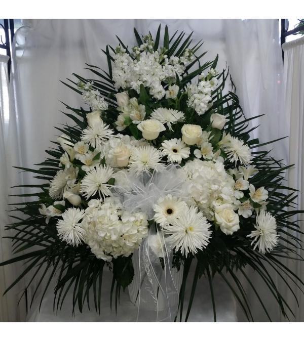 white bloosoms