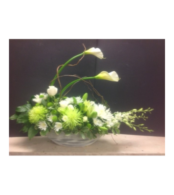 Grace of Callas