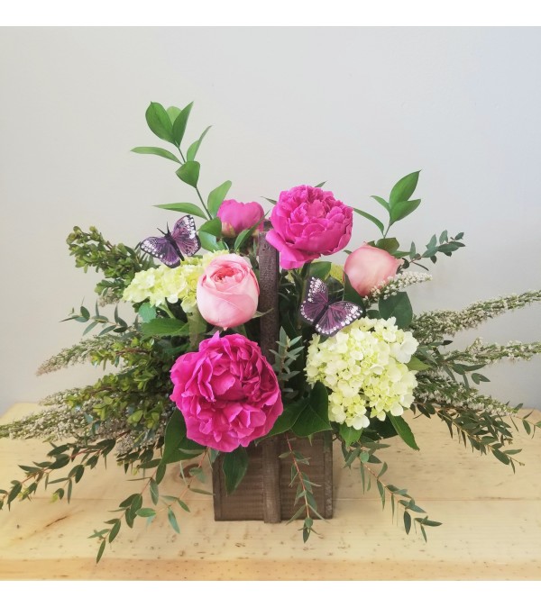 Jan's Peony Garden