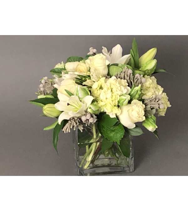 Cohasset Common - The Cohasset Collection TM