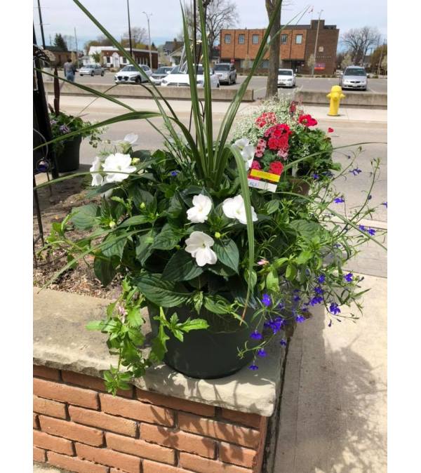 Beautiful Blooming Mixed Patio Pot