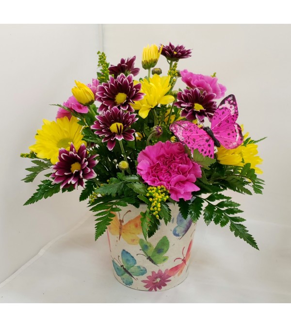 Butterfly Blooms