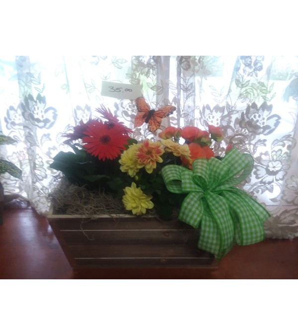 Box of Blooms