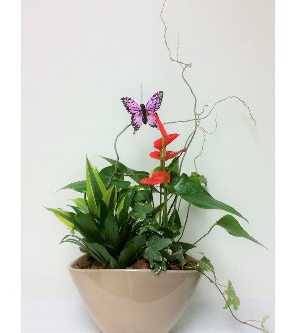 Anthurium Planter with Monarch