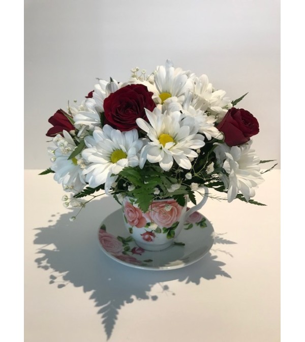 Teacup Red