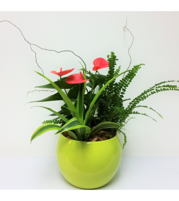 Posh Planter