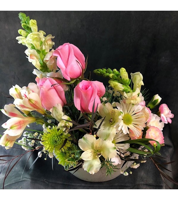 Gladstone Floral