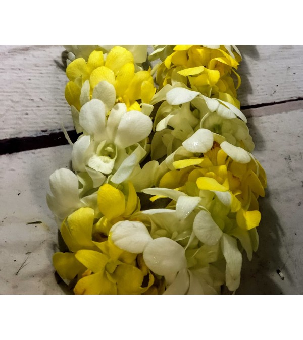Orchid Lei Yellow and White Double