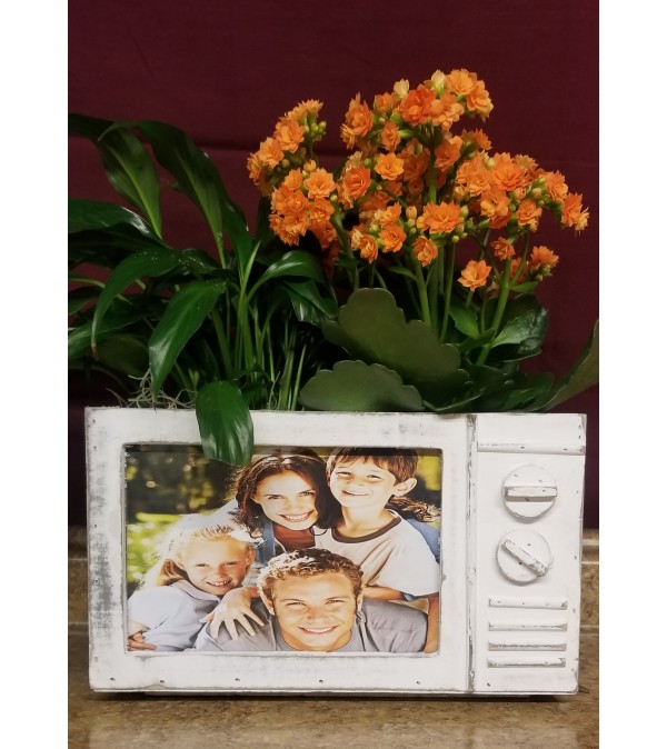 Picture Frame Planter
