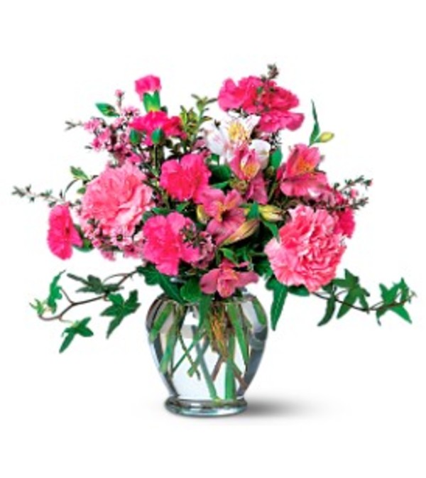 Carnations
