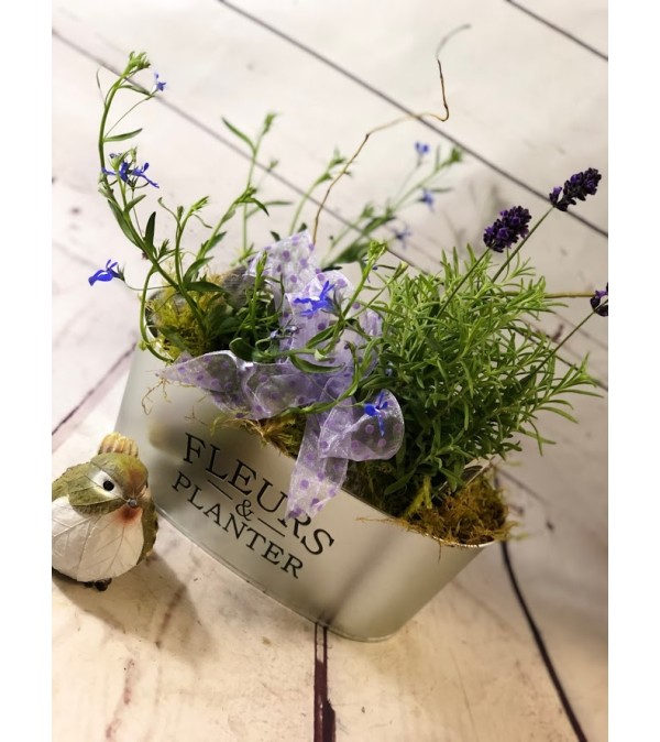 Fleurs and Planters