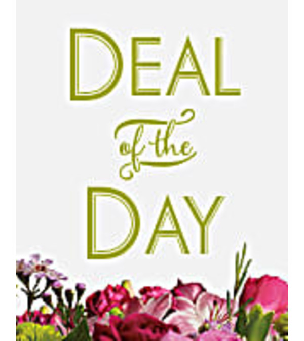 Deal of the day Flower Bouquet