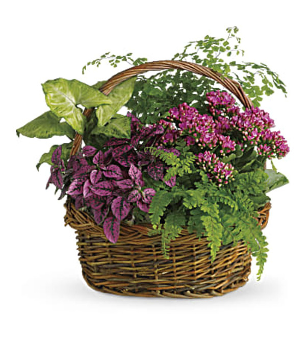 Secret Garden Gift Basket