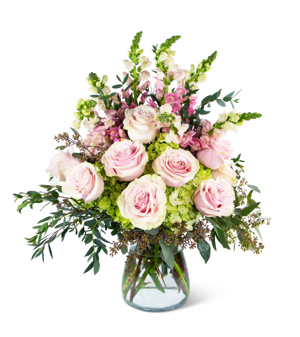 Dreamy Roses Supreme by Country Garden