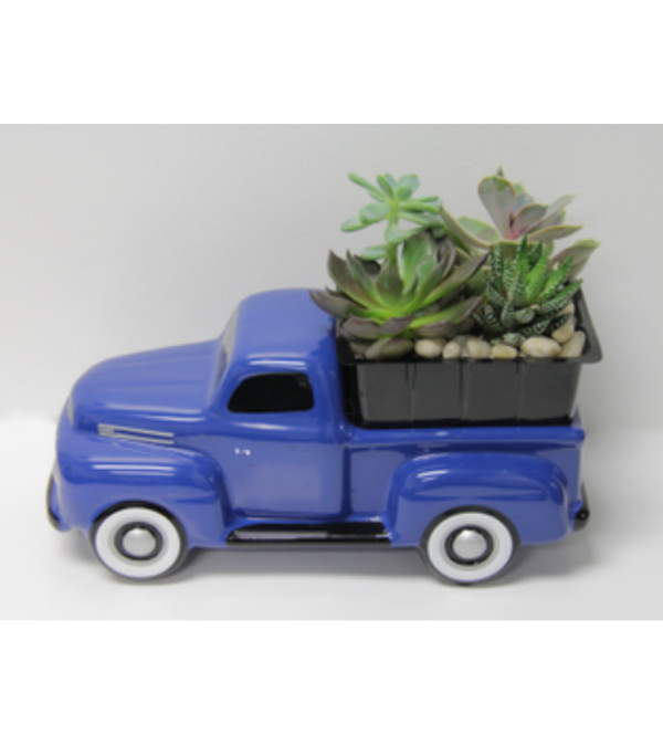 65 Ford Truck Succulent Bouquet