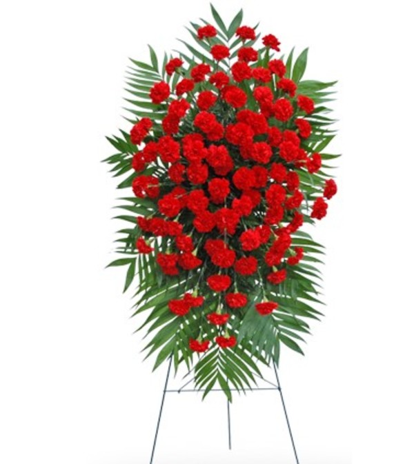 Red Carnation Standing Spray