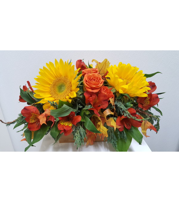 Smart Autumn Brights