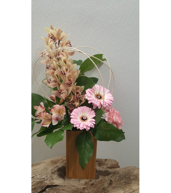 Smart Orchid Dream