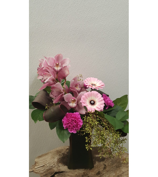 Smart Soft Tropics