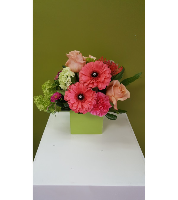 Smart Summer Corals