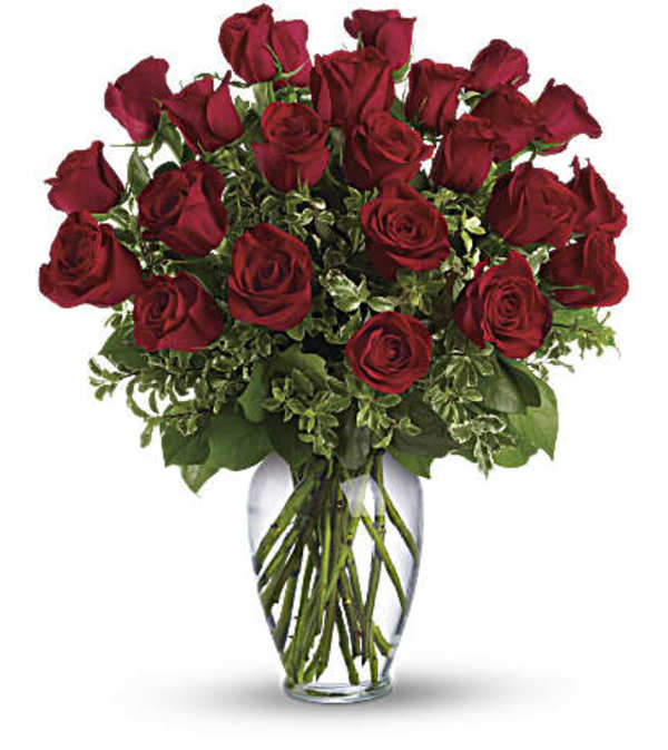 Super Quality Red Roses