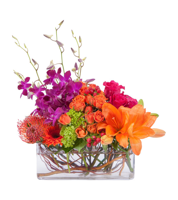 Powerfully Prismatic by Country Gardens
