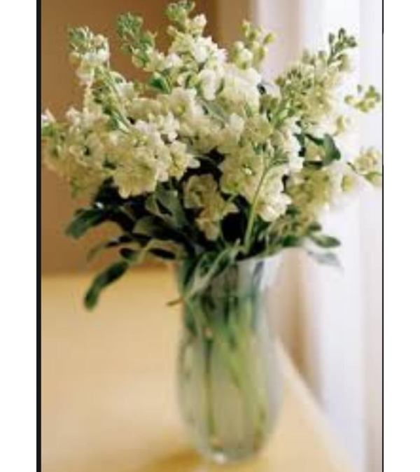 Fragrant Mist