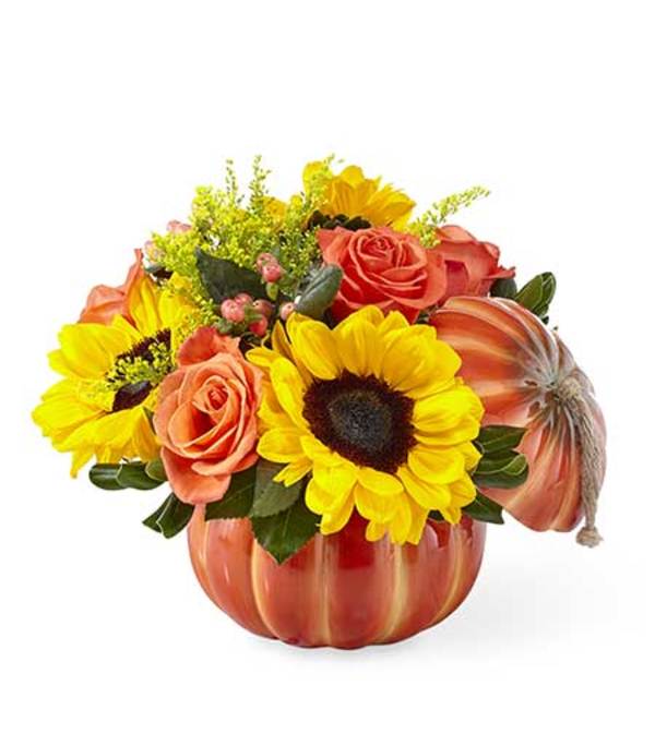 Fall Autumn Pumpkin