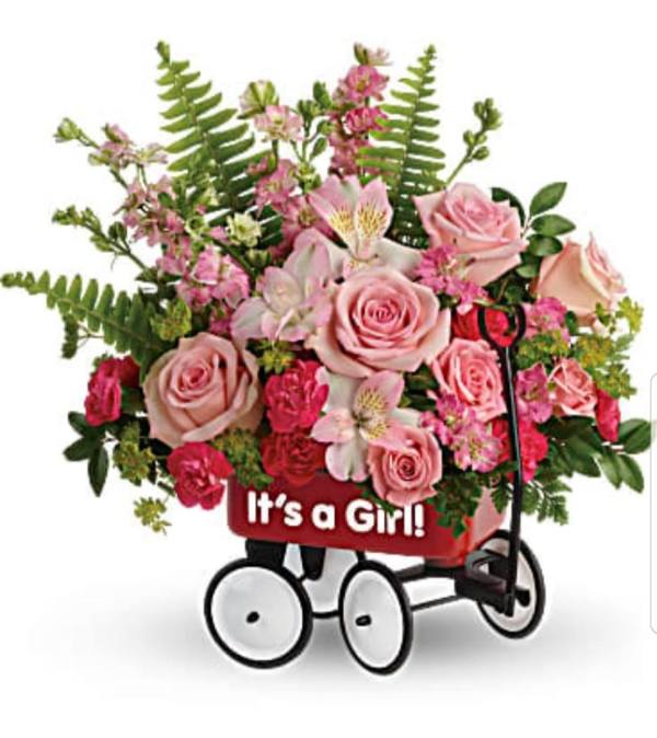 Baby Girl Firts Wagon